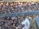 image of grave number 365077